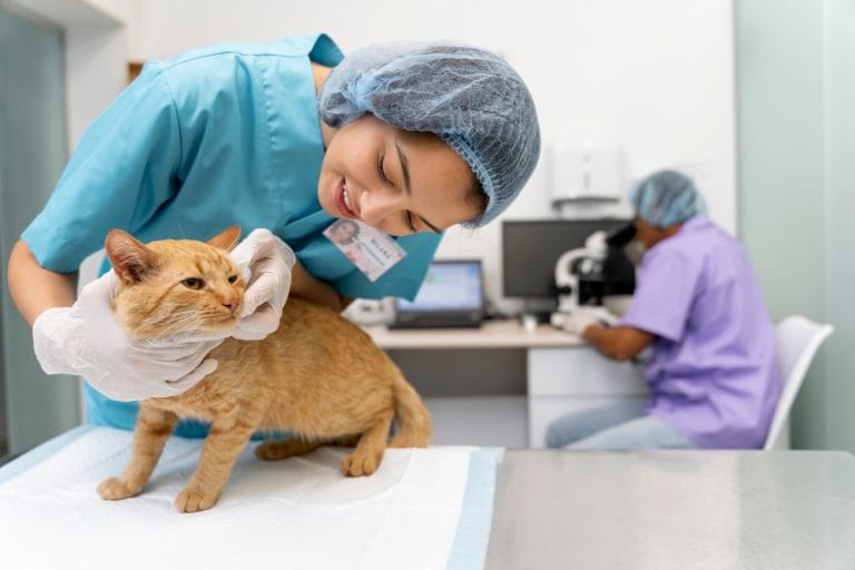 veterinary jobs in dubai